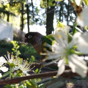 Meet your Posher, Marie